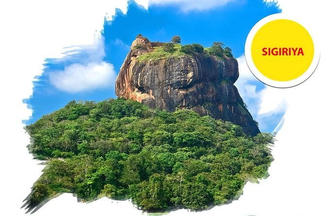 Sigiriya Rock and Dambulla Cave Temple all inclusive Private Day Trip - Who should book this day trip