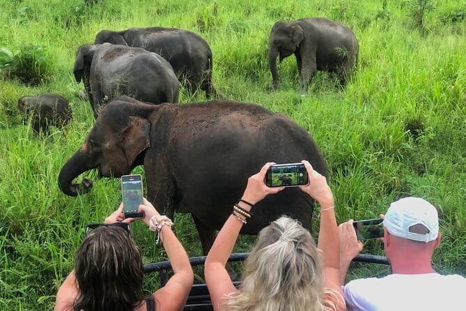 Sigiriya Rock Climb, Village Tour+Cooking Class & Elephant Safari - Key points to know before booking