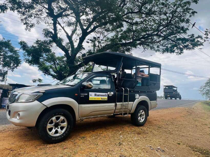 Sigiriya Rock , Dambulla Cave Temple Day Tour from Kandy” - What the $30 price really means