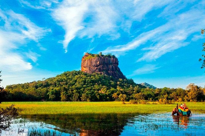 Sigiriya Rock & Dambulla Cave Temple Private Guided Day Trip - The spice garden, woodcarvings, and silk showroom