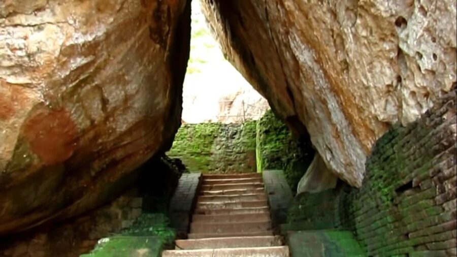Sigiriya: Rock Fortress Private Guided Walking Tour - Who should book this Sigiriya walk?