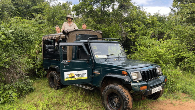 Sigiriya Rock Hike & Minneriya Elephant Safari – Day Tour - The brief Kaudulla stop and park planning