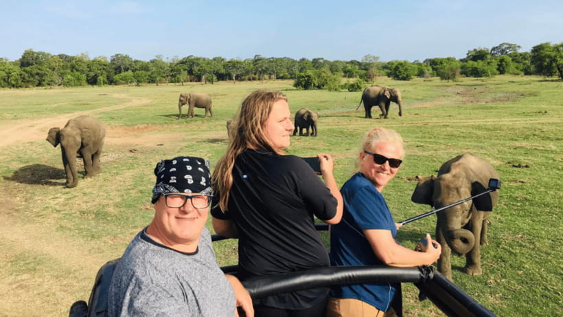 Sigiriya Rock Hike & Minneriya Elephant Safari – Day Tour - Transport, timing, and the English guide question