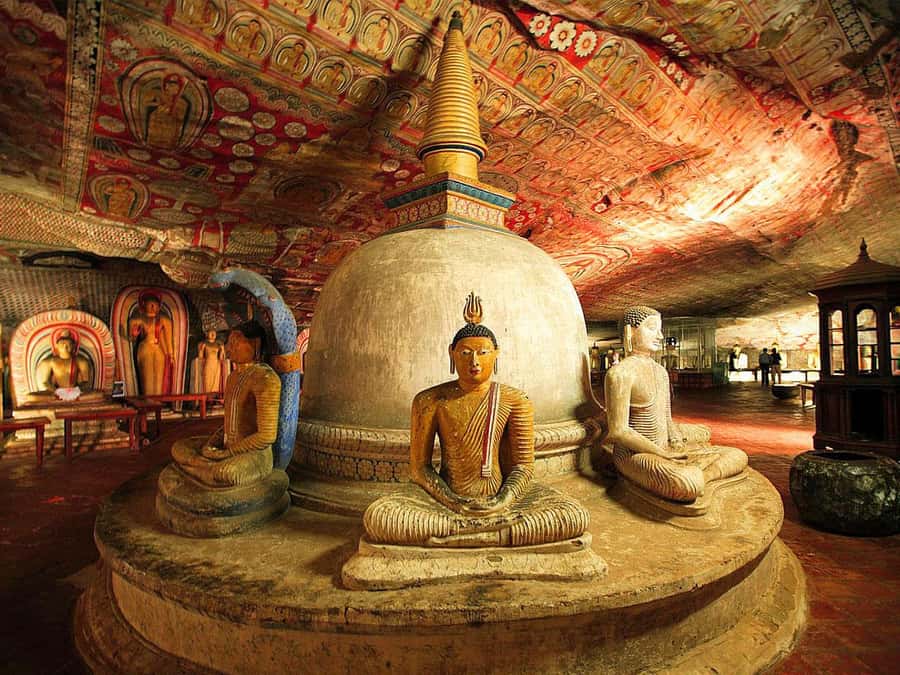 Sigiriya: Sigiriya or Pidurangala Sunrise/Sunset Hike - Key points before you book