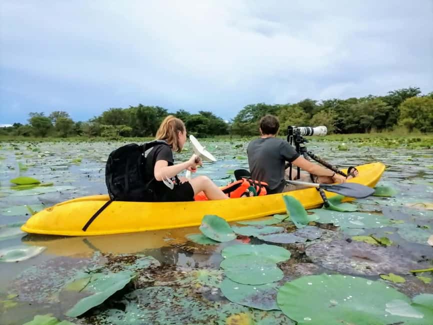 Sigiriya: Sunrise or Sunset Kayaking Tour - Small groups and the personal feel