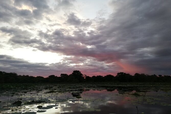 Sigiriya Sunrise/Sunset Guided Boat Ride - Who should book this boat ride?