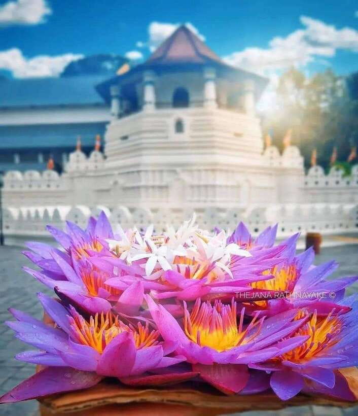 Sigiriya To Kandy Private Transfer: Visit Dambulla Temple - A fragrant stop at the herbal spice garden