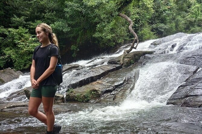 Sinharaja Rain Forest Day Tour from Mirissa, Galle, Bentota Area - Walking into the rainforest reserve
