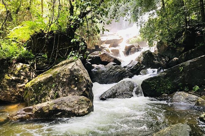 Sinharaja Rain Forest Guided Day Tour - Two waterfalls and a chance to cool off