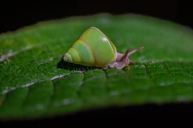 Sinharaja Rainforest Day Tour By Rainforest Expedition - Walking through the Sinharaja entrance