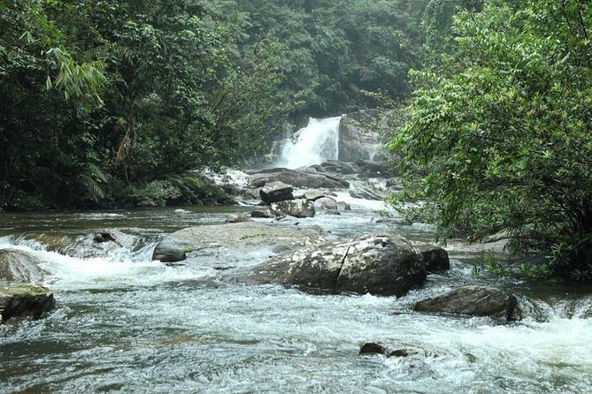 Sinharaja' rainforest - Discovery Tour (half day) - Key points before you book