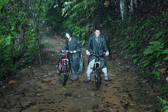 Sinharaja' rainforest - Discovery Tour (half day) - The four-hour forest walk
