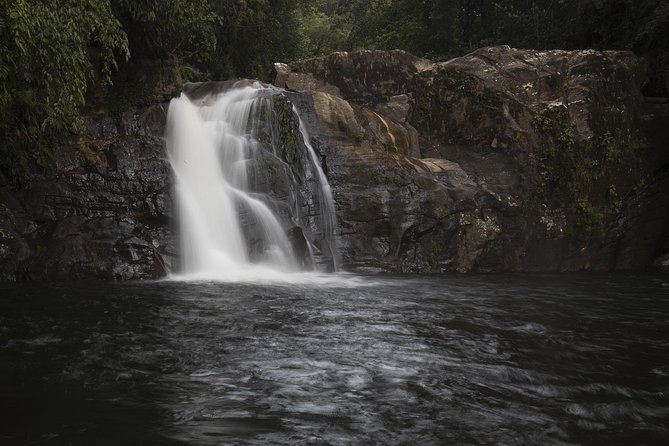 Sinharaja' rainforest - Discovery Tour (half day) - Meeting at 7:30 am on Mederipitiya Dombagoda Road