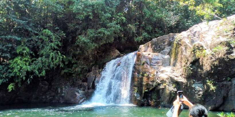 Sinharaja Rainforest Private & Customize Tour - Key points at a glance