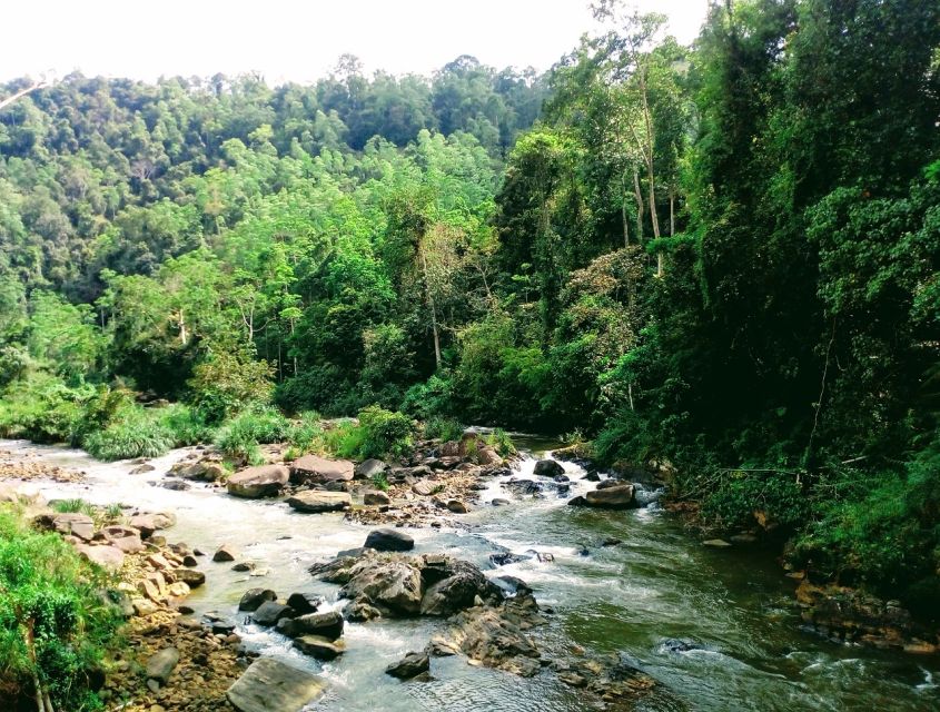 Sinharaja Rainforest Private & Customize Tour - The guide and driver make the difference
