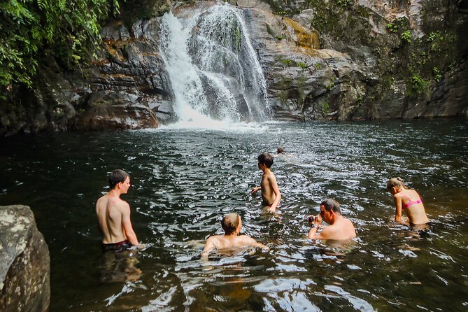 Sinharaja Rainforest Private Half Day Tour with Licensed Guide - Key points to know before booking