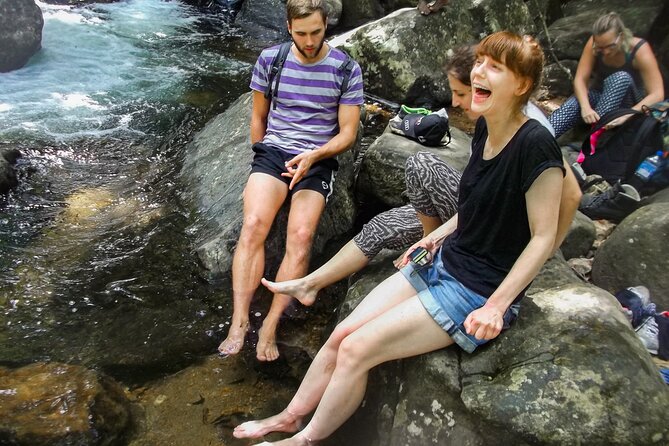 Sinharaja Rainforest Private Half Day Tour with Licensed Guide - What you may see along the trail