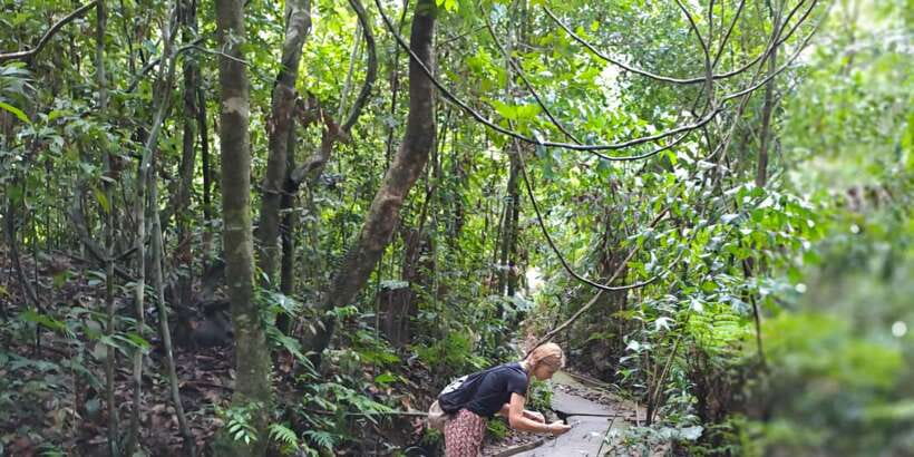 Sinharaja Rainforest Tour - Booking details worth knowing