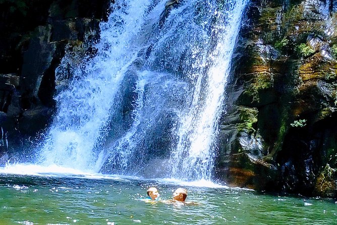 Sinharaja Rainforest Tour - From the south coast to Sinharaja Forest Reserve