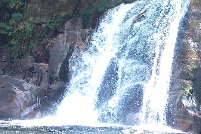 Sinharaja Rainforest Tour - The waterfall is the day’s most playful stop