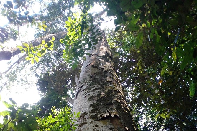 Sinharaja Rainforest Tour - Is $110 good value?