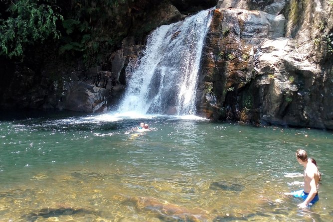 Sinharaja Rainforest Tour - Who will enjoy this most?