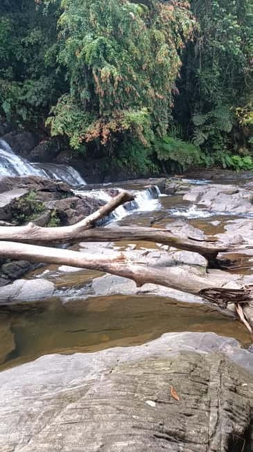 Sinharaja Rainforest: Tour with 5 Waterfalls Trek - Five useful things to know before you book