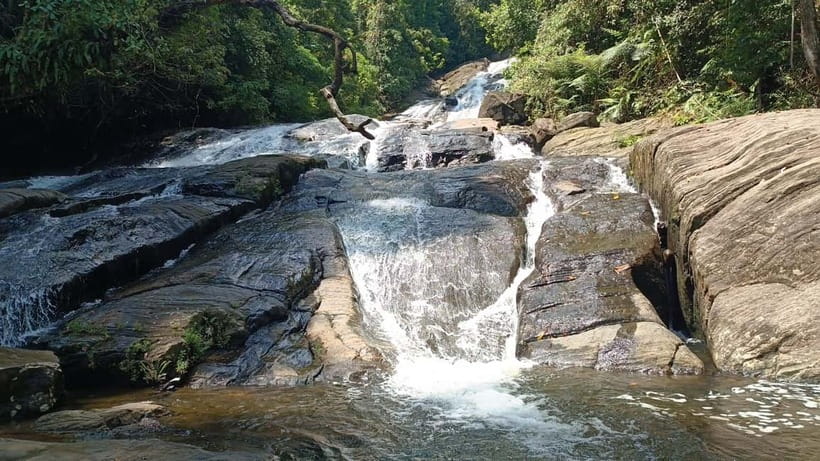 Sinharaja Rainforest: Tour with 5 Waterfalls Trek - The two-hour ride into Sinharaja