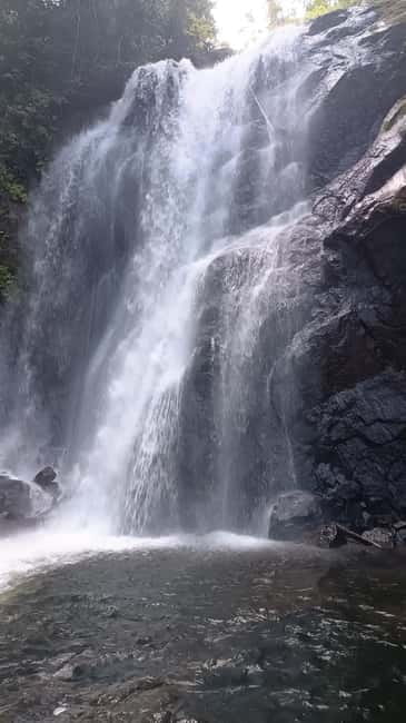 Sinharaja Rainforest: Tour with 5 Waterfalls Trek - Walking with a forest tracker
