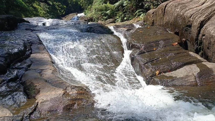Sinharaja Rainforest: Tour with 5 Waterfalls Trek - Five falls, cool water, and a real chance to swim