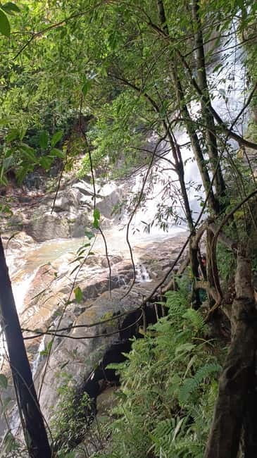 Sinharaja Rainforest: Tour with 5 Waterfalls Trek - A village rice-and-curry lunch after the hike