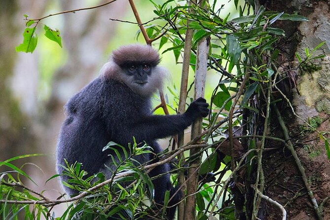 Sinharaja Rainforest Trekking Private Day Trip with Local Lunch - Is $120 a fair price?