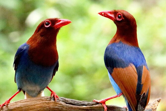 Sinharaja Rainforest Trekking Private Day Trip with Local Lunch - Booking, weather, and cancellation details