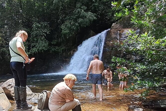 Sinharaja Rainforest Trip - Key points at a glance