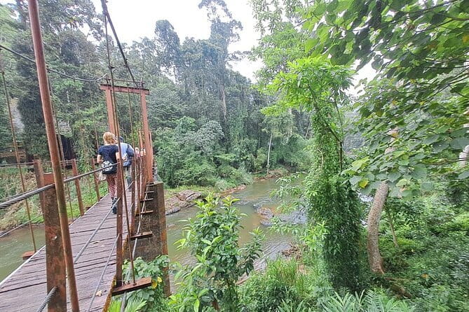 Sinharaja Rainforest Trip - Why Sinharaja makes a worthwhile day trip
