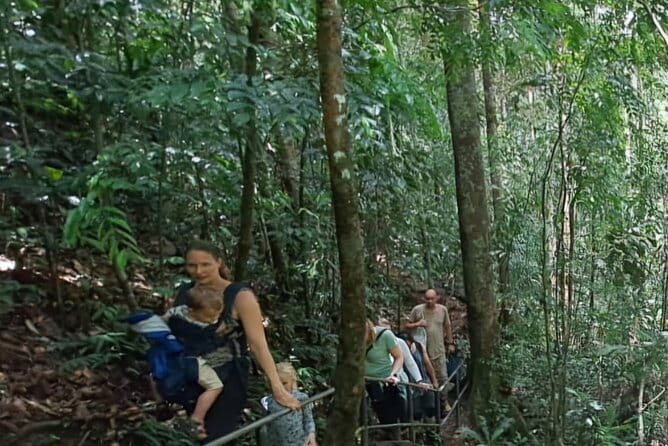 Sinharaja Rainforest Trip - What the $55 price really covers