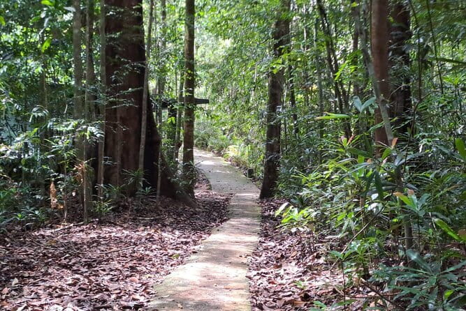Sinharaja Rainforest Trip - Leaving the coast at 8:00 am