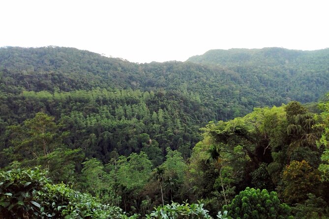 Sinharaja Rainforest & Udawalawe Safari - 2 Days, All Inclusive - What the private format changes