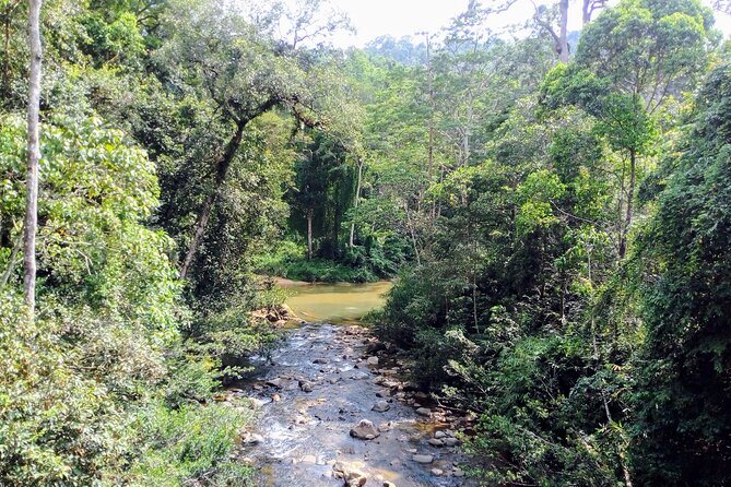 Sinharaja Rainforest & Udawalawe Safari - 2 Days, All Inclusive - Is $340 a fair price?