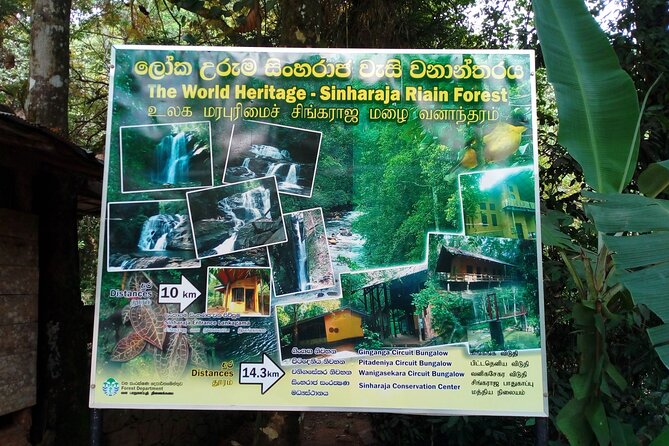 Sinharaja Rainforest & Udawalawe Safari - 2 Days, All Inclusive - Timing, effort, and practical limits