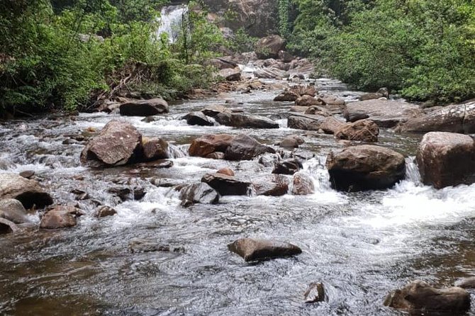 Sinharaja Short tour with 5 waterfalls tour or Adventure tour - Choosing the right entrance near Galle