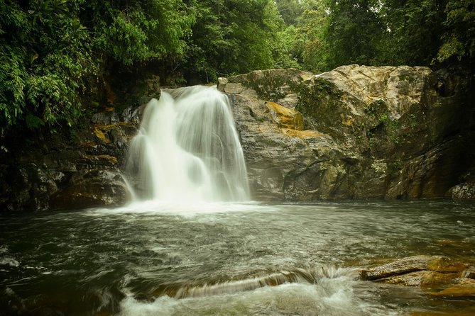 Sinharaja Short tour with 5 waterfalls tour or Adventure tour - Two waterfalls, swimming, and fish therapy