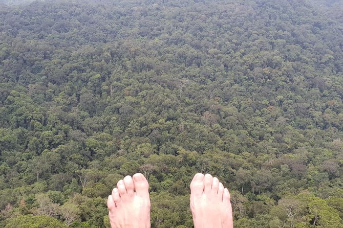 Sinharaja Short tour with 5 waterfalls tour or Adventure tour - How the six to eight hours usually works