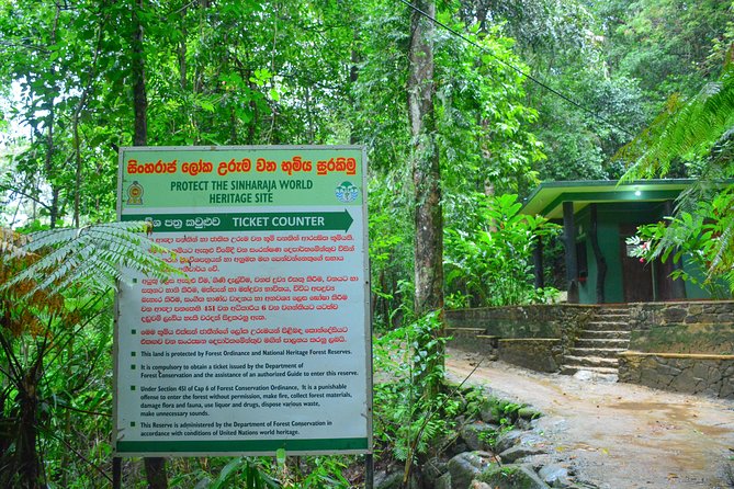 Sinharaja Short tour with 5 waterfalls tour or Adventure tour - Is $75 good value?