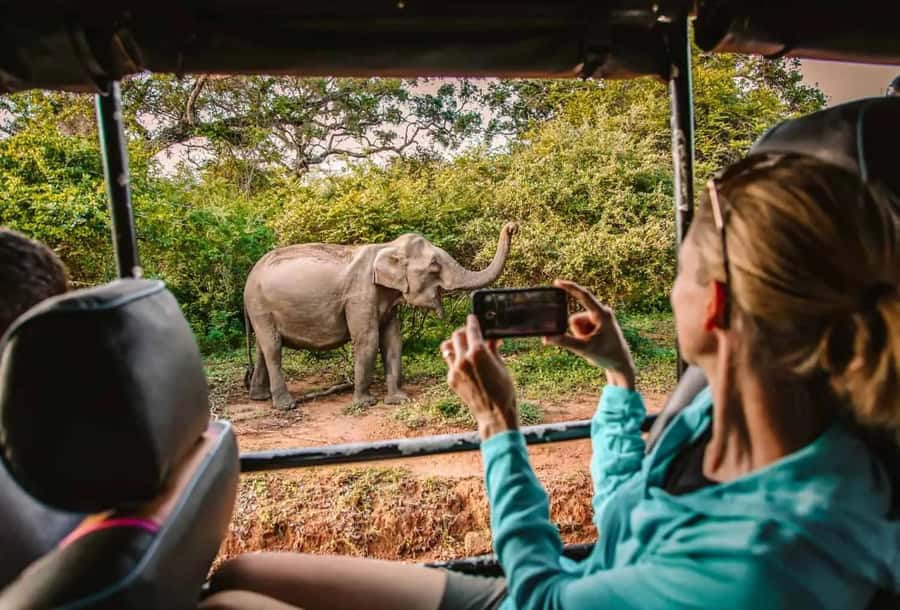 SKIP THE LINE - YALA SAFARI TOUR - Incl. ENTRY TICKETS - The 4x4 jeep and what the ride is like