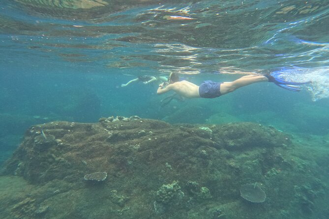 Snorkeling at Angel Rock - Key points at a glance