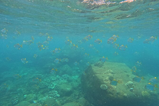 Snorkeling at Angel Rock - Meeting at Nilaveli and boarding the boat