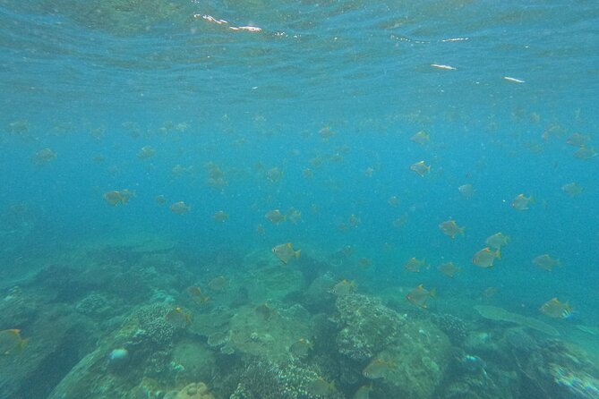 Snorkeling at Angel Rock - At Angel Rock: coral, fish, and rocky water