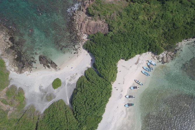 Snorkeling at Pigeon Island - A small group, but not a private charter