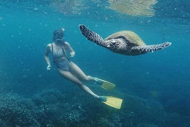 Snorkeling at Pigeon Island - What the $42 price really covers